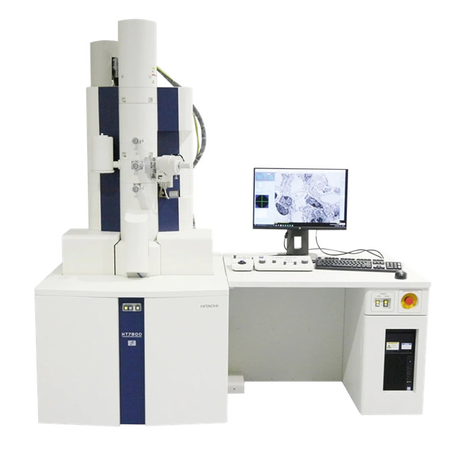 The HT7800: A Versatile Transmission Electron Microscope