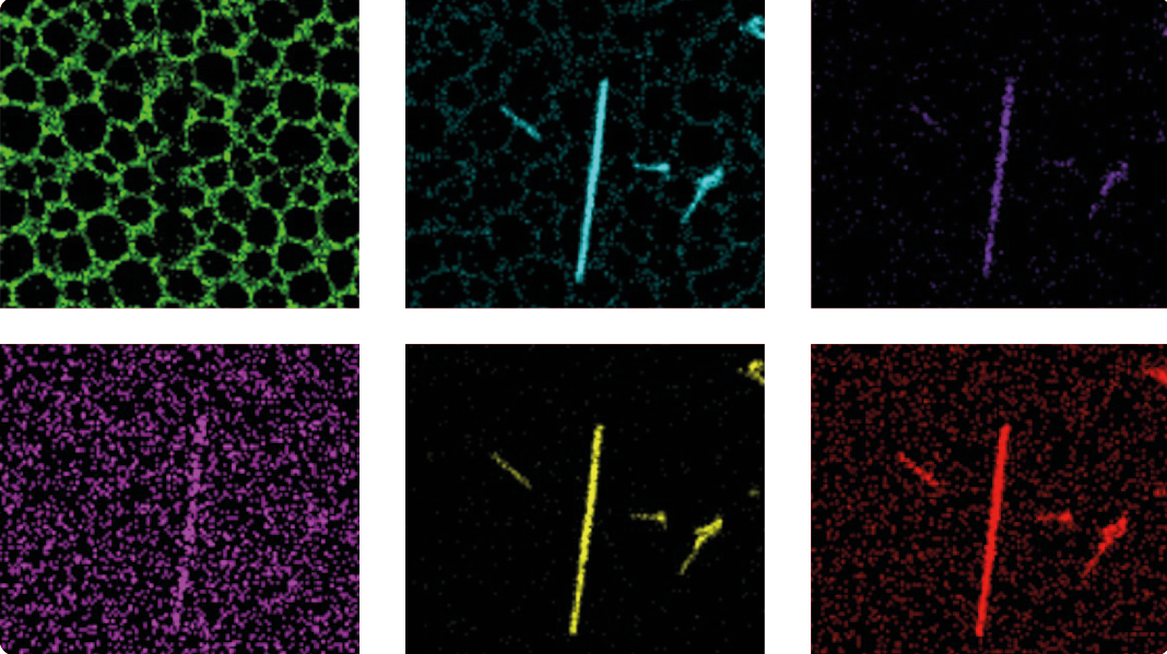 The HT7800: A Versatile Transmission Electron Microscope