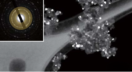 Au/TiO2 catalyst. Hollow-cone dark-field TEM image, accelerating voltage 120 kV.