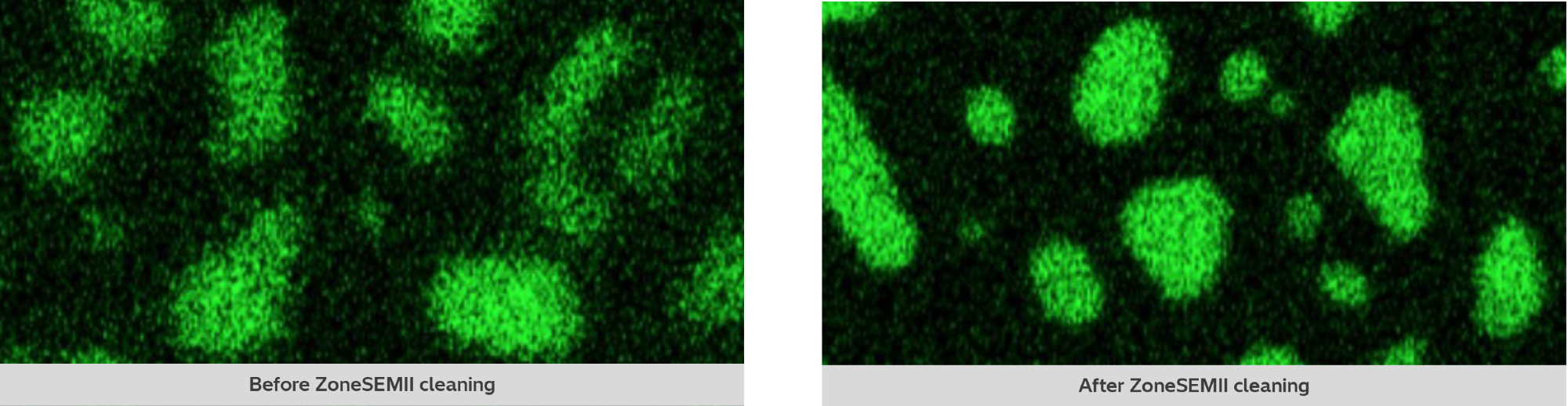 EDS mapping image of Au particles on carbon before and after ZoneSEM II cleaning