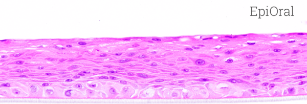 EpiOral™ & EpiGingival™