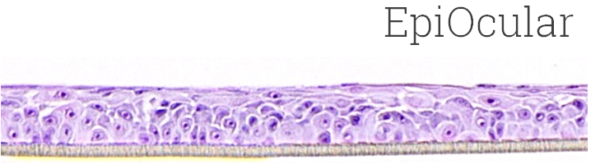 EpiOcular™