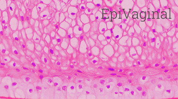 EpiVaginal™