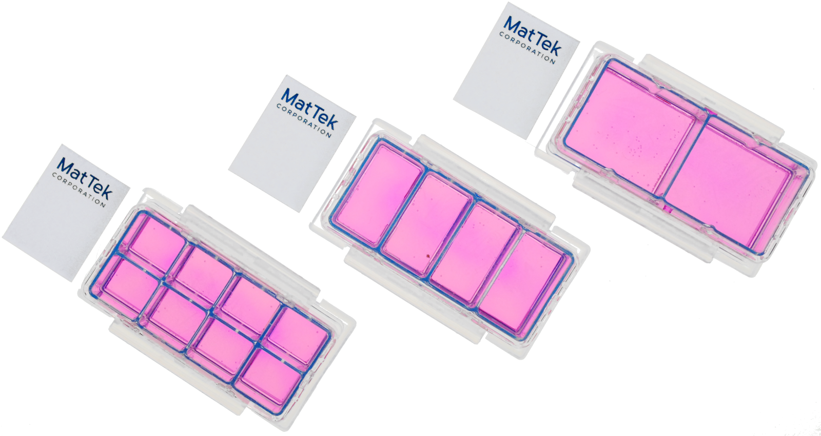 Chambered Cell Culture Slides