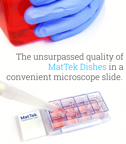 Chambered Cell Culture Slides