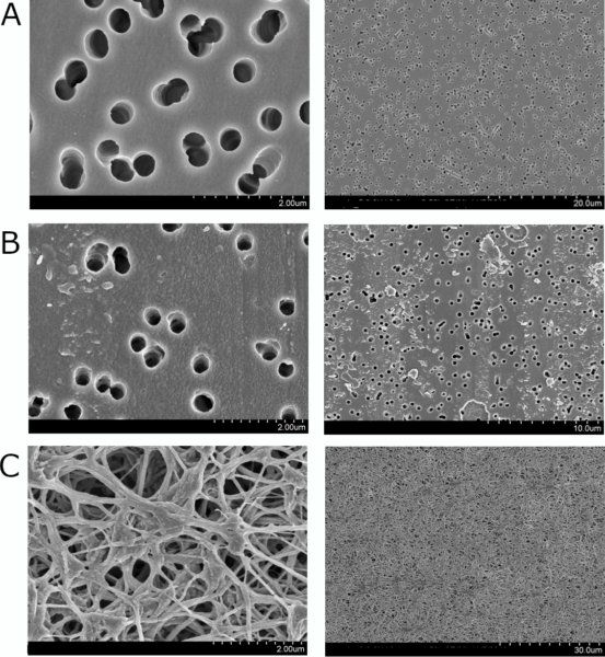 PermaCell Cell Culture Inserts