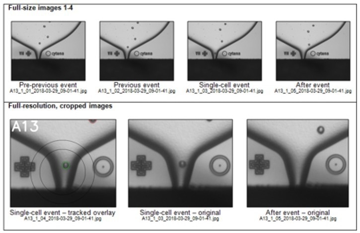 F.SIGHT™ OMICS