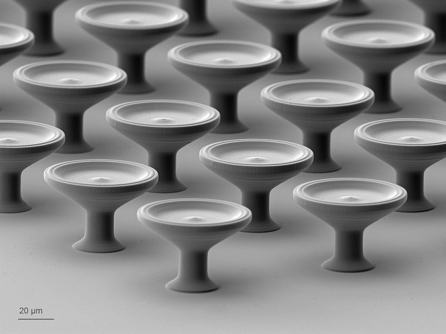 Quantum X shape