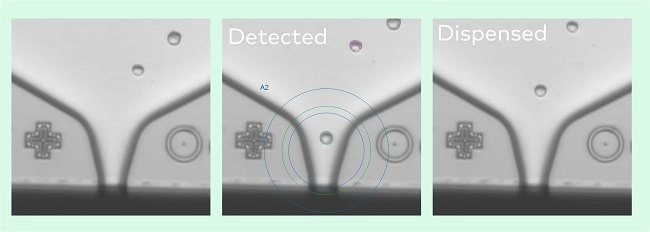 C.SIGHT™ 2.0