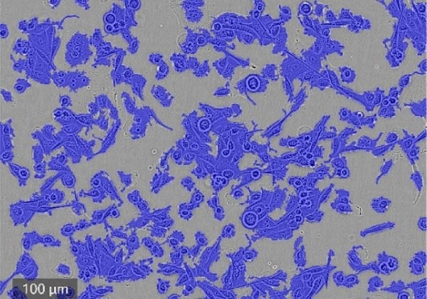 CELLCYTE X™