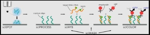 sciBUFFER