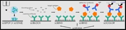 sciBUFFER