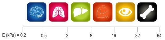 CytoSoft® 6-well Plates