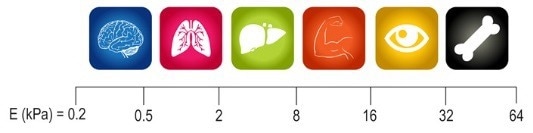 CytoSoft® Imaging 96-well Plate