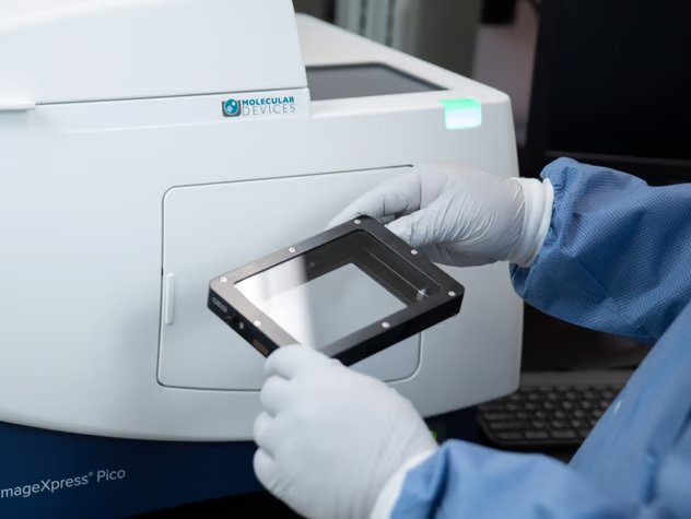 Achieving Rapid Analysis with the ImageXpress Pico Automated Cell Imaging System