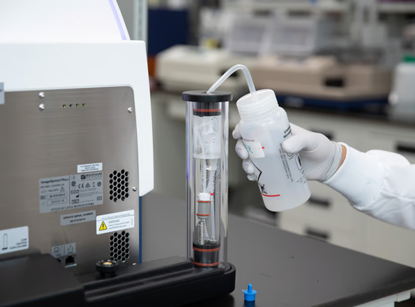 Achieving Rapid Analysis with the ImageXpress Pico Automated Cell Imaging System