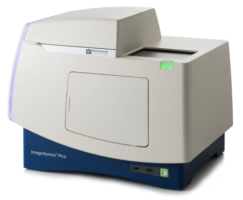 Achieving Rapid Analysis with the ImageXpress Pico Automated Cell Imaging System