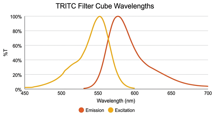 Graph showing the excitation and emission when using TRITC Filter Cubes