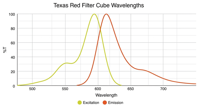 Graph showing the excitation and emission when using Texas Red Filter Cubes