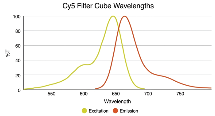 Graph showing the excitation and emission when using Cy5 Filter Cubes