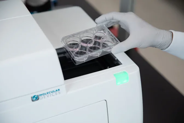 6-well Cell Culture Plates.