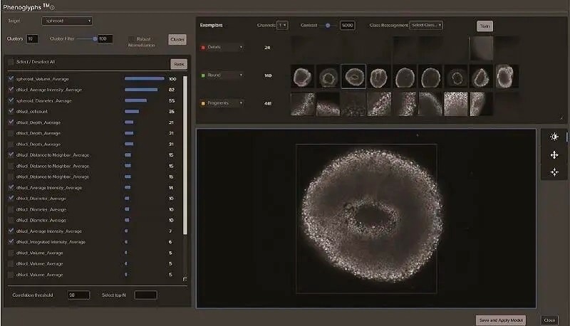 IN Carta Image Analysis Software for robust, quantitative results