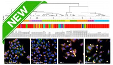IN Carta Image Analysis Software for robust, quantitative results