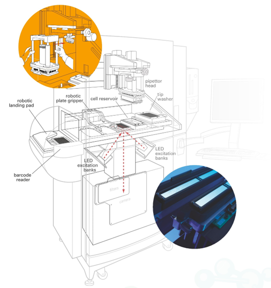 FLIPR® Penta for Superior High-Throughput Cellular Screening