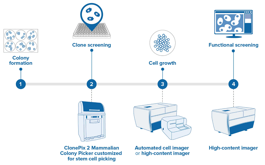 ClonePix 2 Mammalian Colony Picker for Antibody Discovery