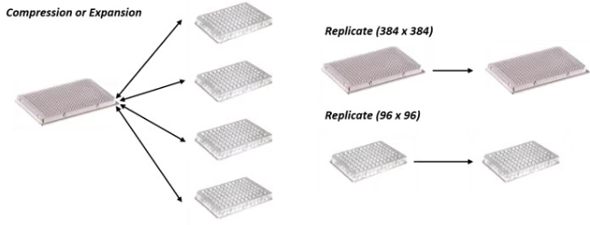 QPix Microbial Colony Pickers for Automated Microbial Screening