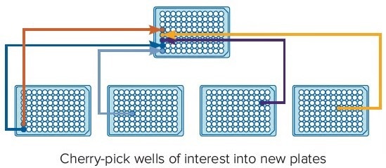 QPix Microbial Colony Pickers for Automated Microbial Screening