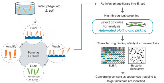 QPix Microbial Colony Pickers for Automated Microbial Screening