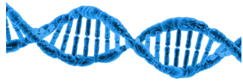 QPix Microbial Colony Pickers for Automated Microbial Screening