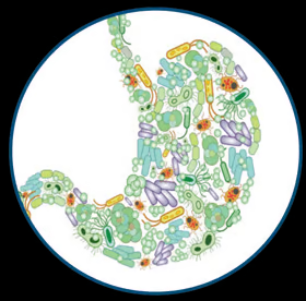 QPix Microbial Colony Pickers for Automated Microbial Screening