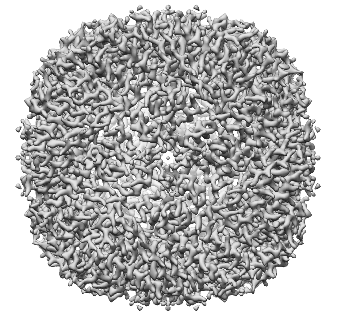 Apoferritin resolved to 2.7 Å at 100 keV.