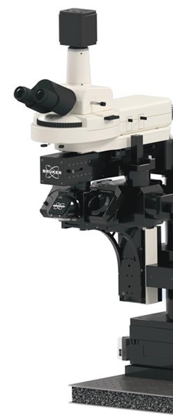 State-of-the-Art Multiphoton Microscopy with Ultima Investigator Plus
