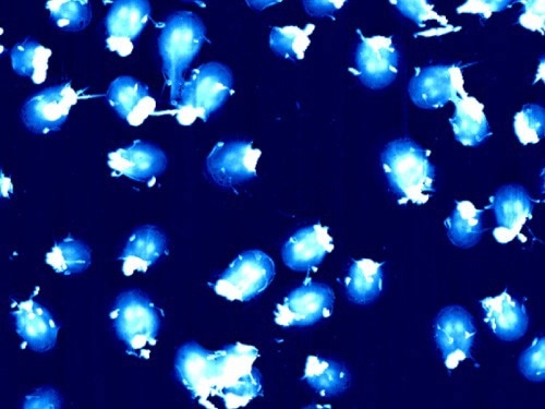 Park NX12: The Future of Analytical Chemistry