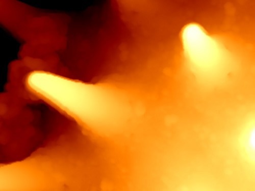 Park NX12: The Future of Analytical Chemistry