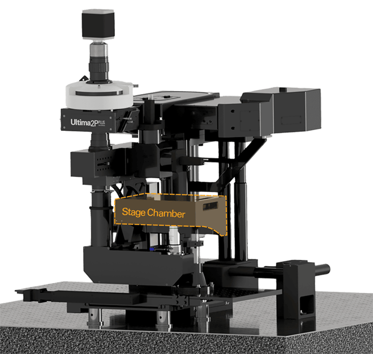 Imaging stage chamber compatible with slides, dishes, and well plates