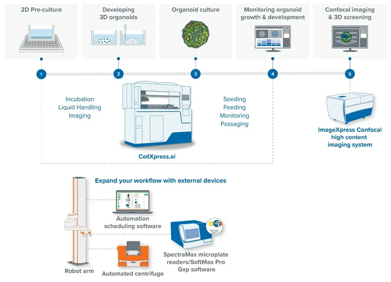 CellXpress.ai ® Automated Cell Culture System for AI-Driven Cell Culture