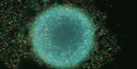 CellXpress.ai ® Automated Cell Culture System for AI-Driven Cell Culture