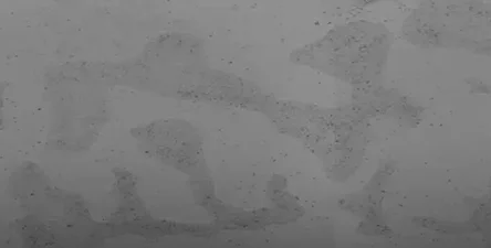 CellXpress.ai ® Automated Cell Culture System for AI-Driven Cell Culture