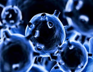 From Screening to Scale-Up: Reliable Pharmaceutical Processes