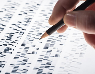 New HiQuad Neo Mass Spectrometer Delivers Advanced Performance and Flexibility