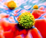 New Software Tool Helps Scientists Identify Aging Cells in Tissues