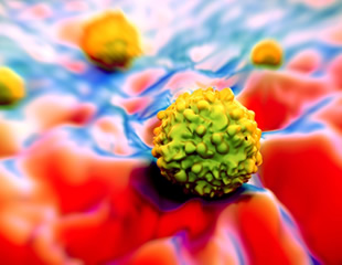 New Infrared Technique Maps Molecules Inside Living Cells in Real Time