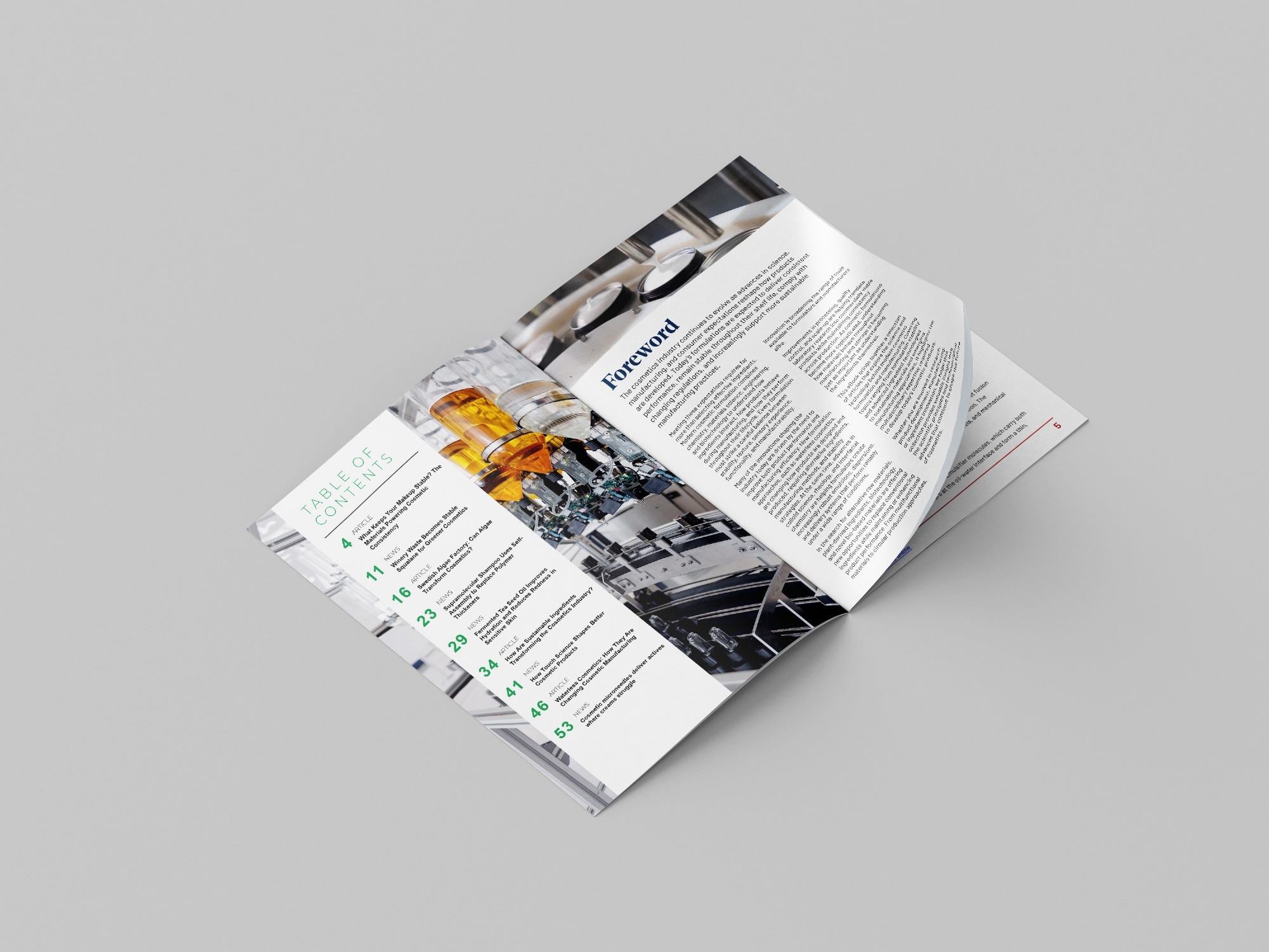2 page spread of eBook
