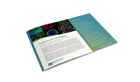 eBook: Transform your cell imaging