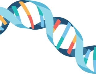 Scientists Discover First Human DNA-Cutting Enzyme That Responds to Tension