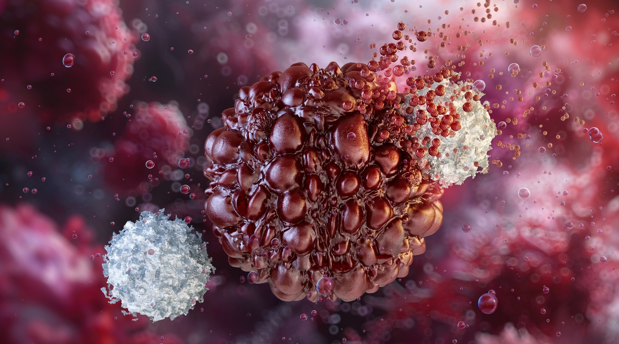 A cancer cell is being targeted by immune cells: T cells, NK cells, macrophages. Cellular interaction, phagocytosis process, activation of a mast cell, histamine granules. 3D scientific illustration